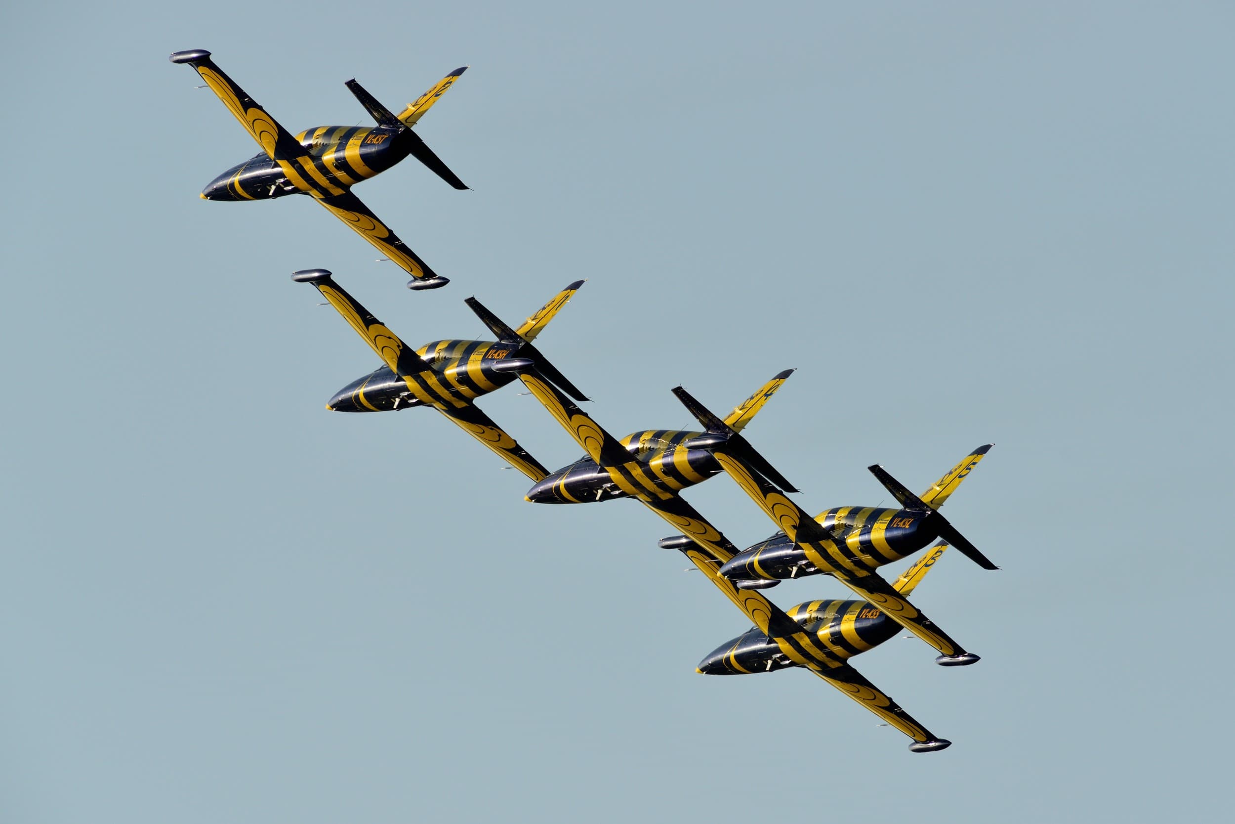 Полет на реактивном учебном самолете L-39 (20 минут)