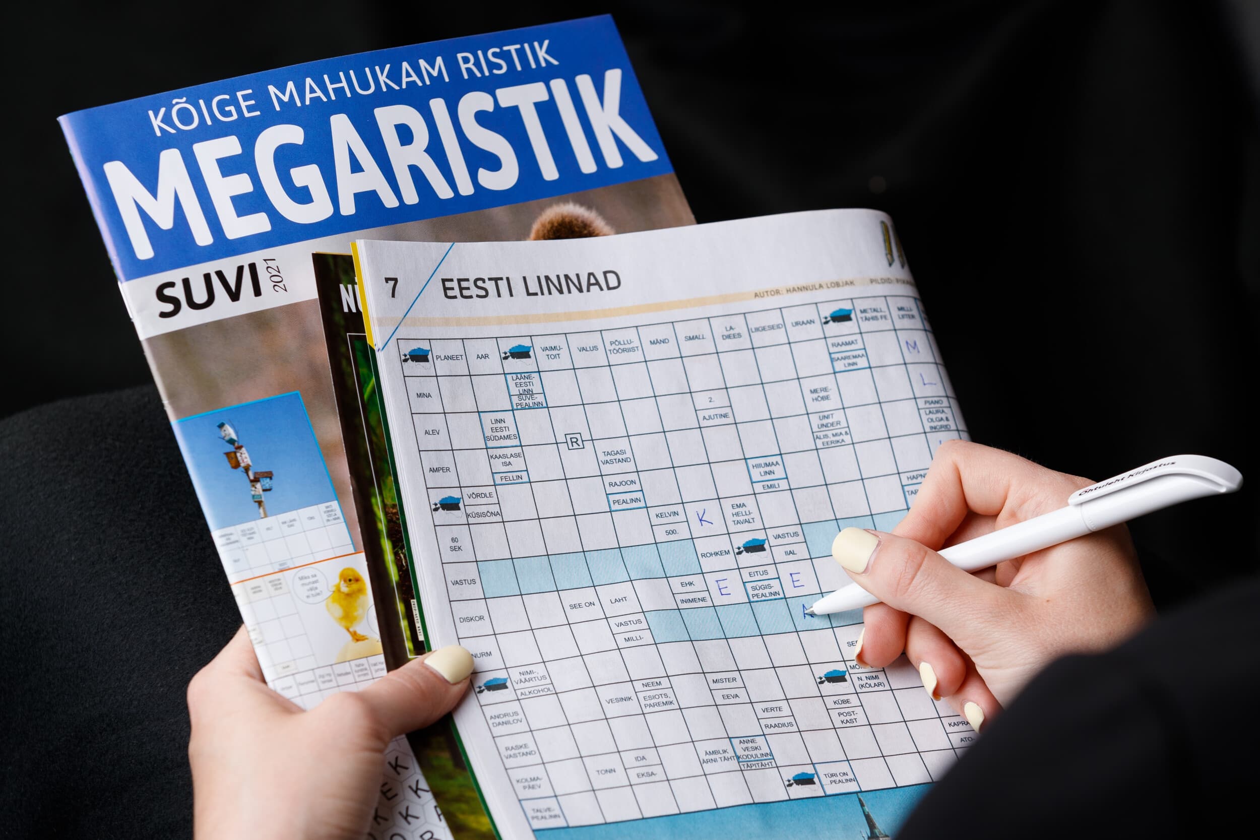 Подписка на сборник кроссвордов MEGARISTIK (12 месяцев) | Kingitus