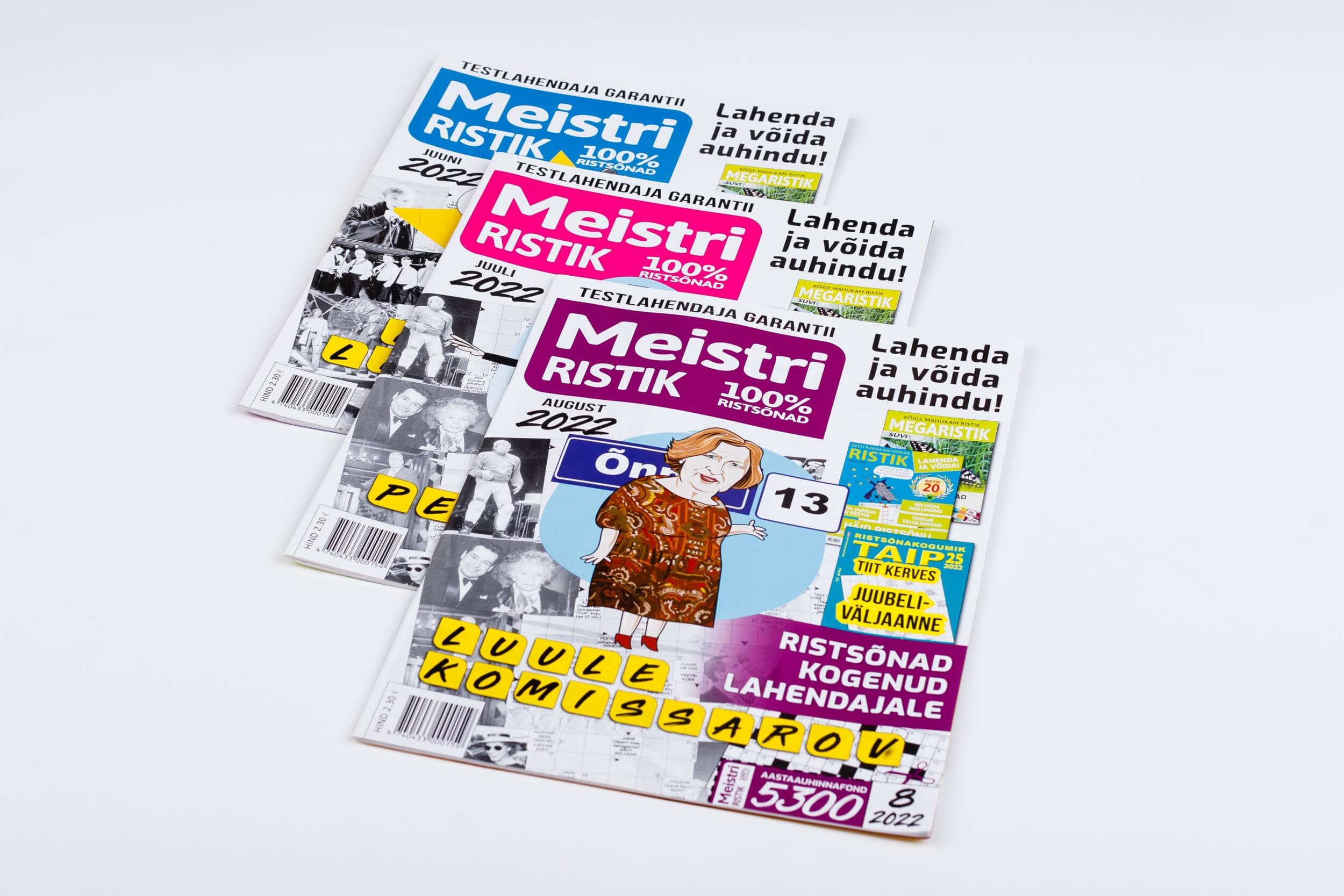 Подписка на MEISTRIRISTIK (12 мес.) | Kingitus