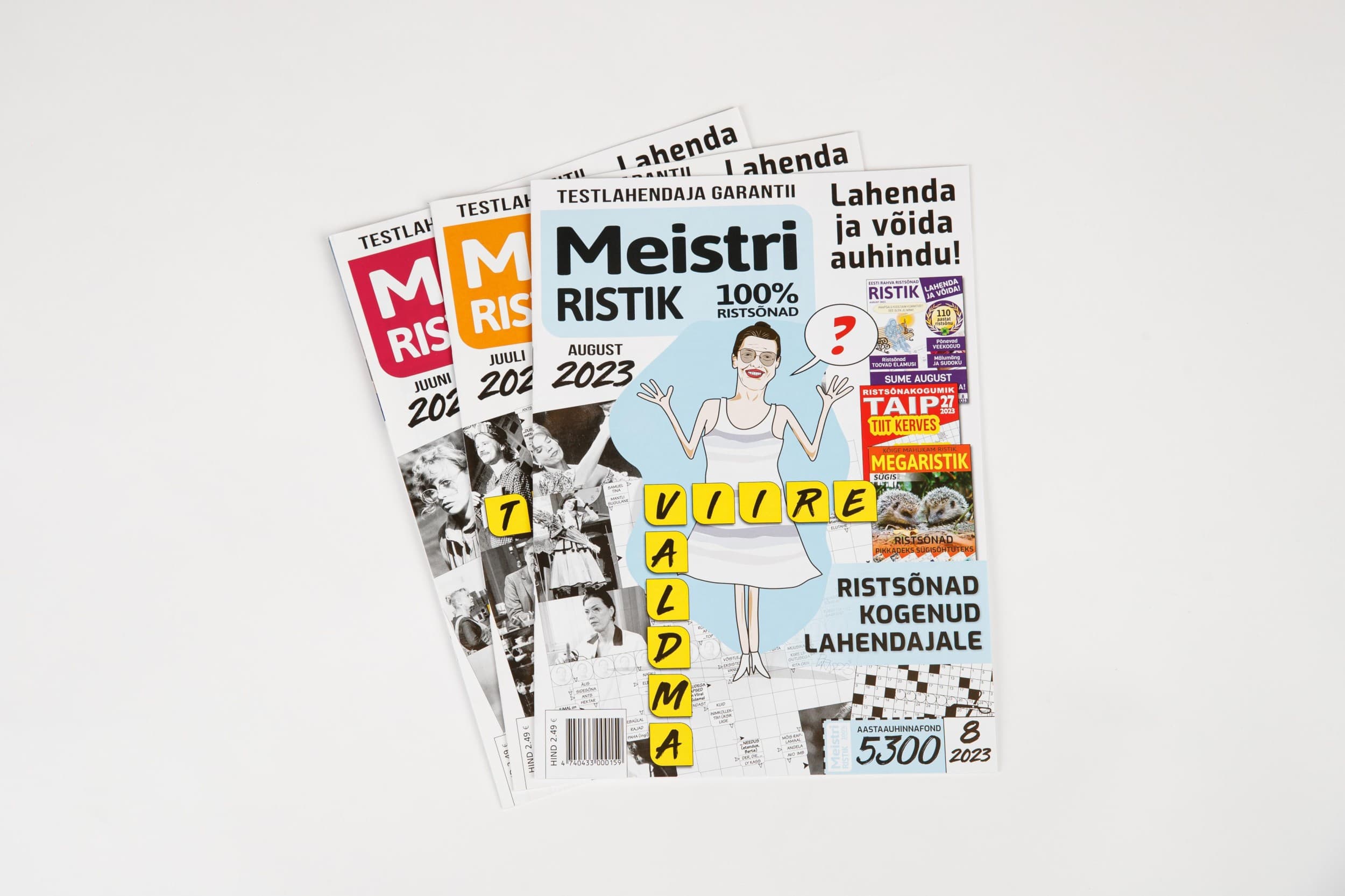 Подписка на MEISTRIRISTIK (12 мес.) | Kingitus