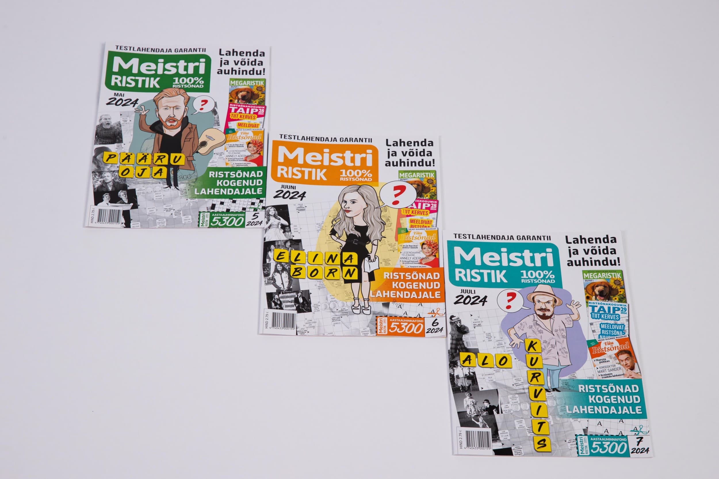 Подписка на MEISTRIRISTIK (12 мес.) | Kingitus