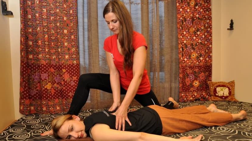 Shiatsu Massaažikojas 
