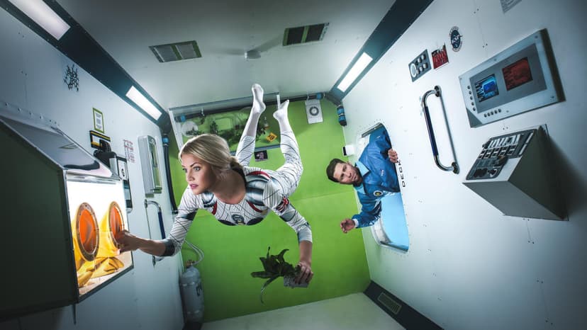 Närvekõditav reaalaja mäng The ROOM