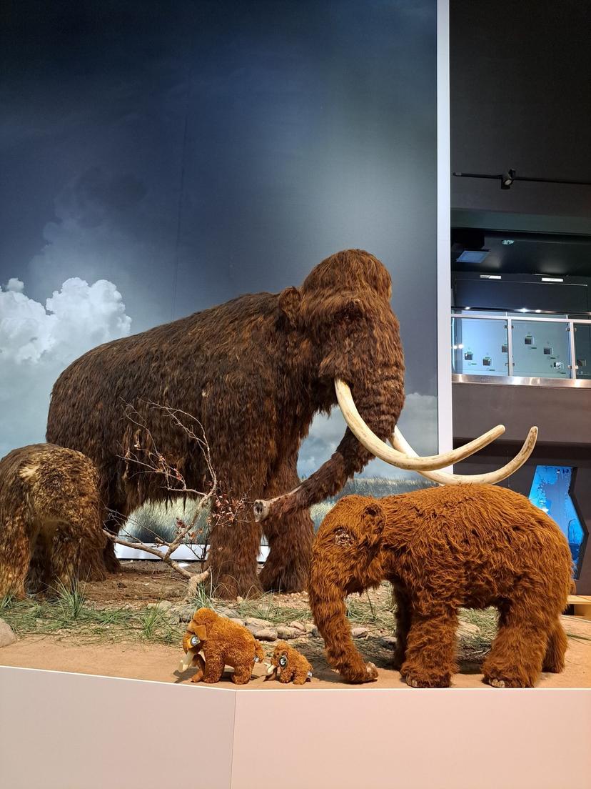 Jääaja Keskuse perepääse