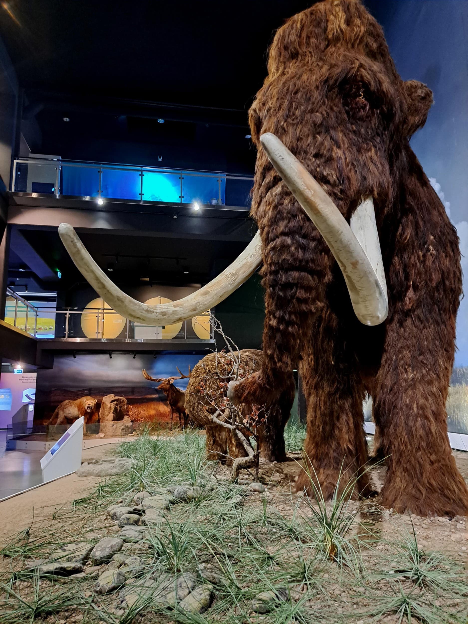 Посещение уникального Центра ледникового периода | Kingitus