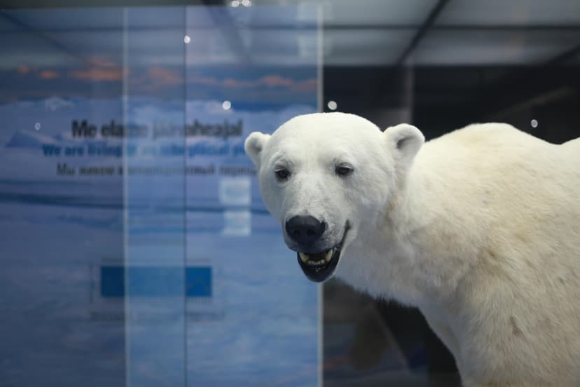 Unikaalse Jääaja Keskuse külastus