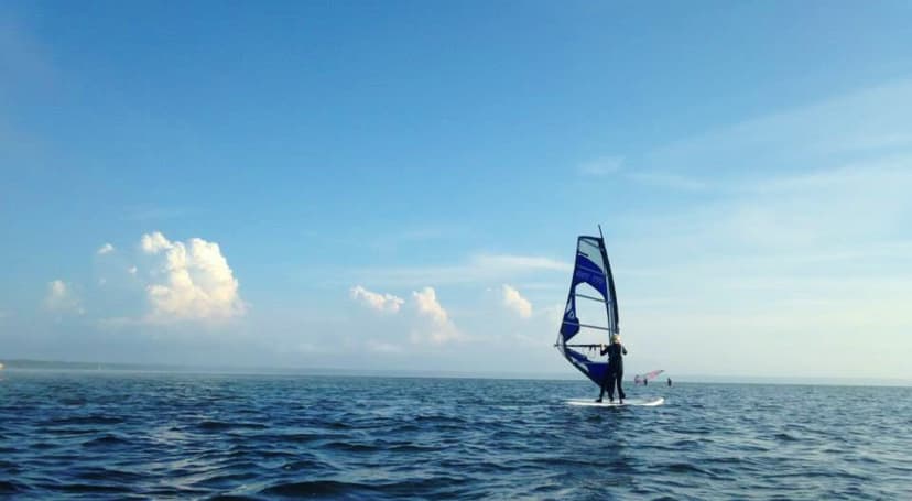 Purjelaua surfi algkoolitus 