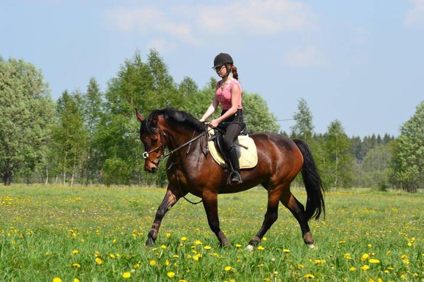 Ratsutamise eratund ratsaplatsil