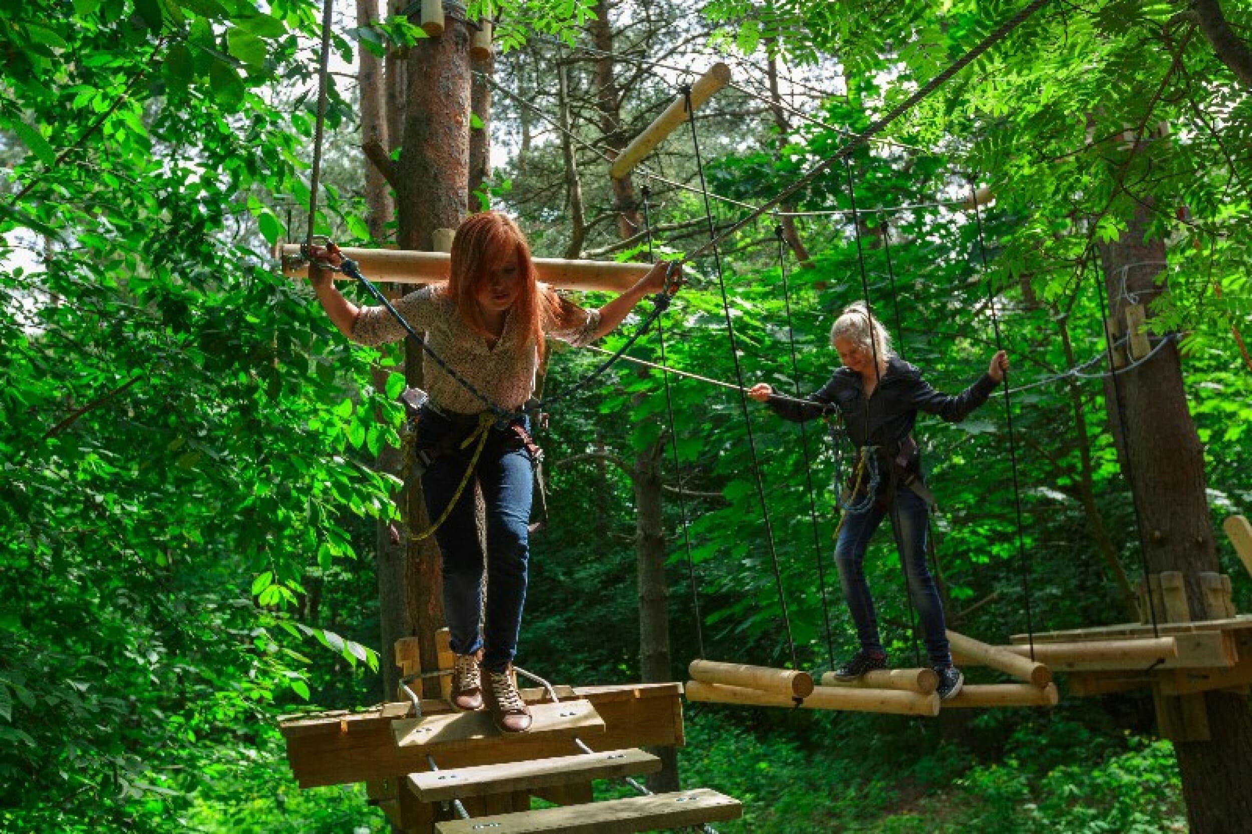 Seiklusraja pilet noorele Pirita seikluspargis | Kingitus