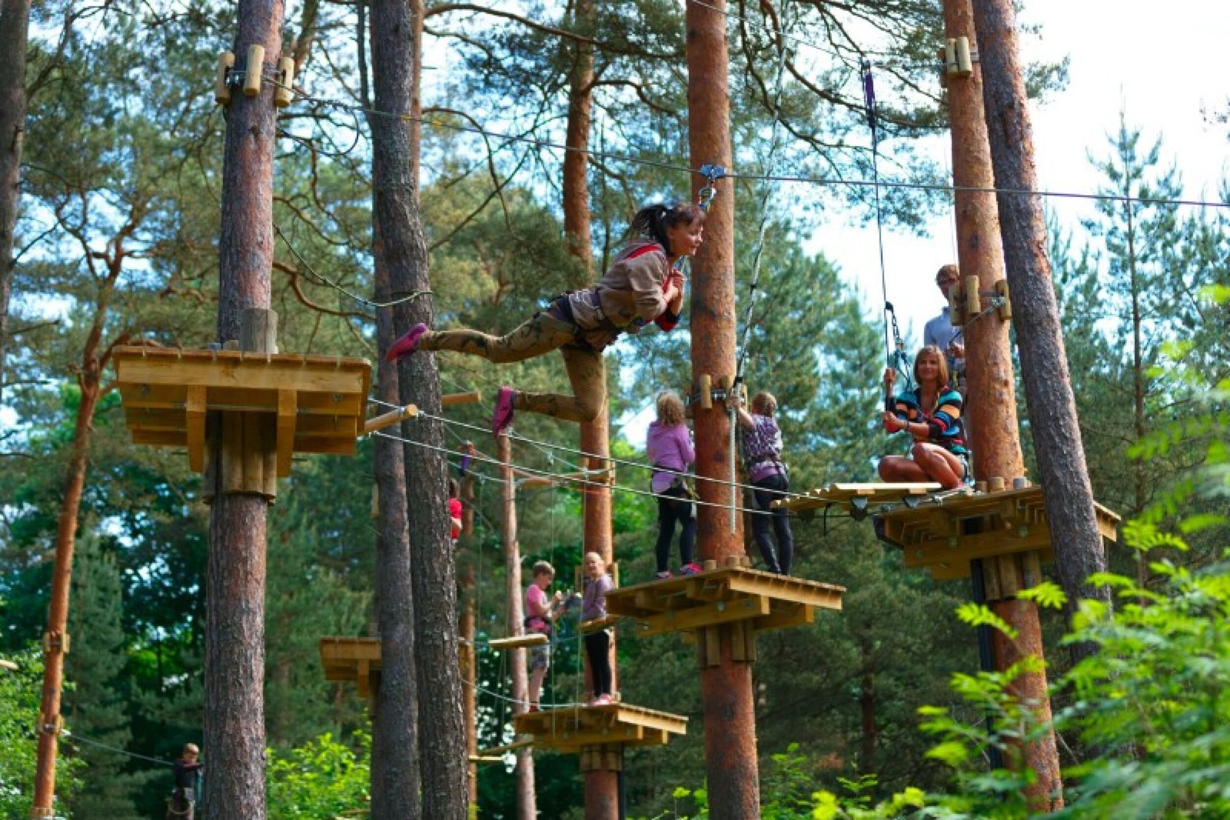 Seiklusraja pilet noorele Pirita seikluspargis | Kingitus