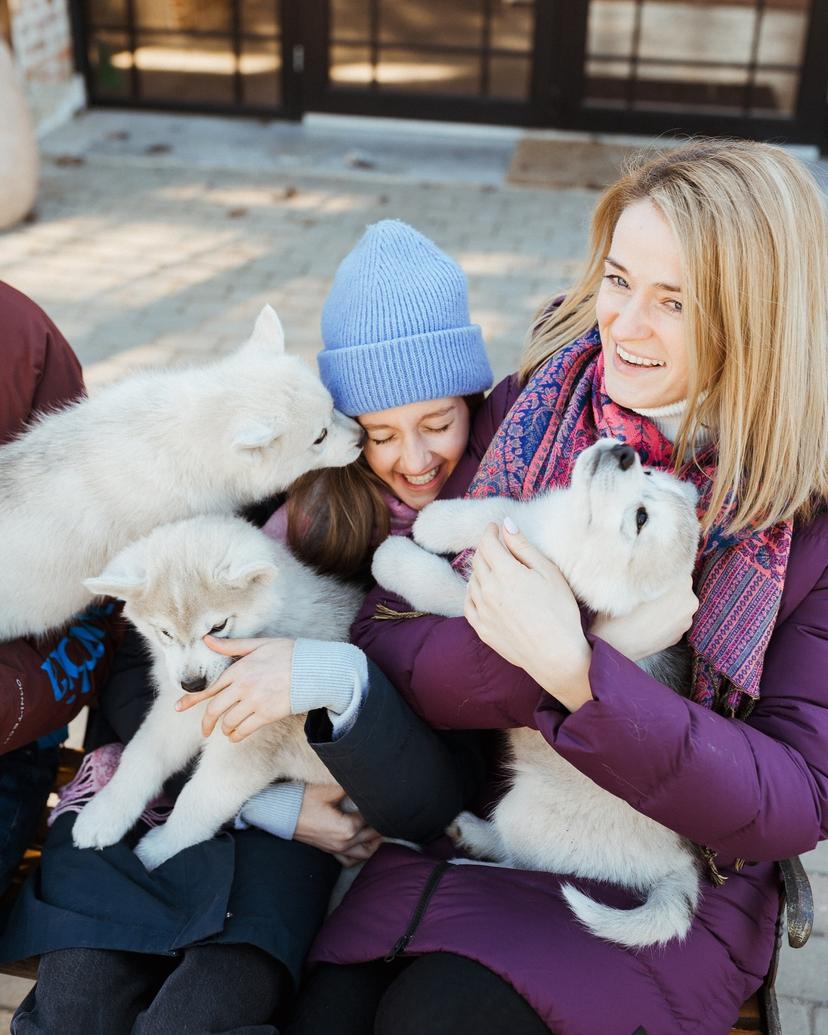 Fotosessioon Siberi Huskydega Paasiku Koertemõisas