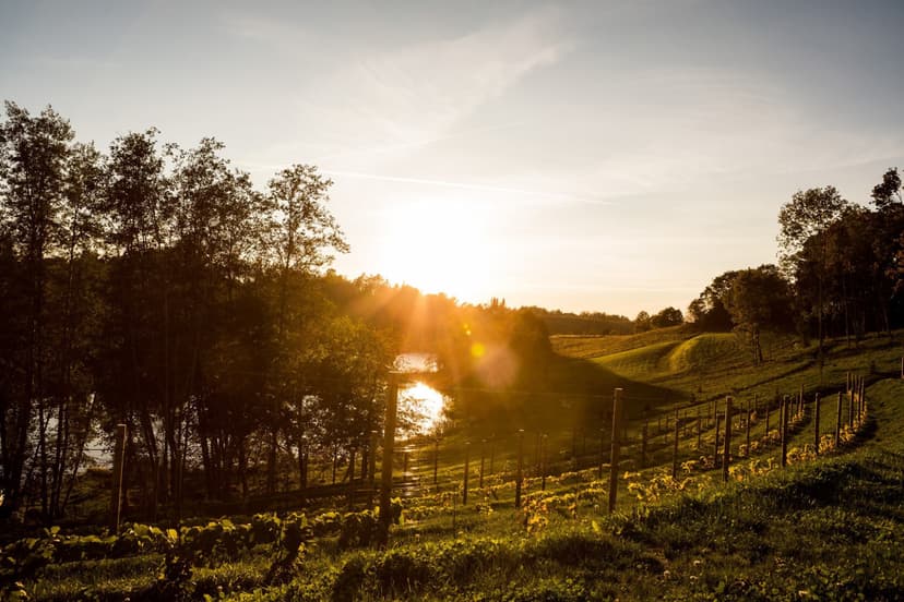 Romantiline öö koos õhtusöögiga Murimäe Veinikeldris