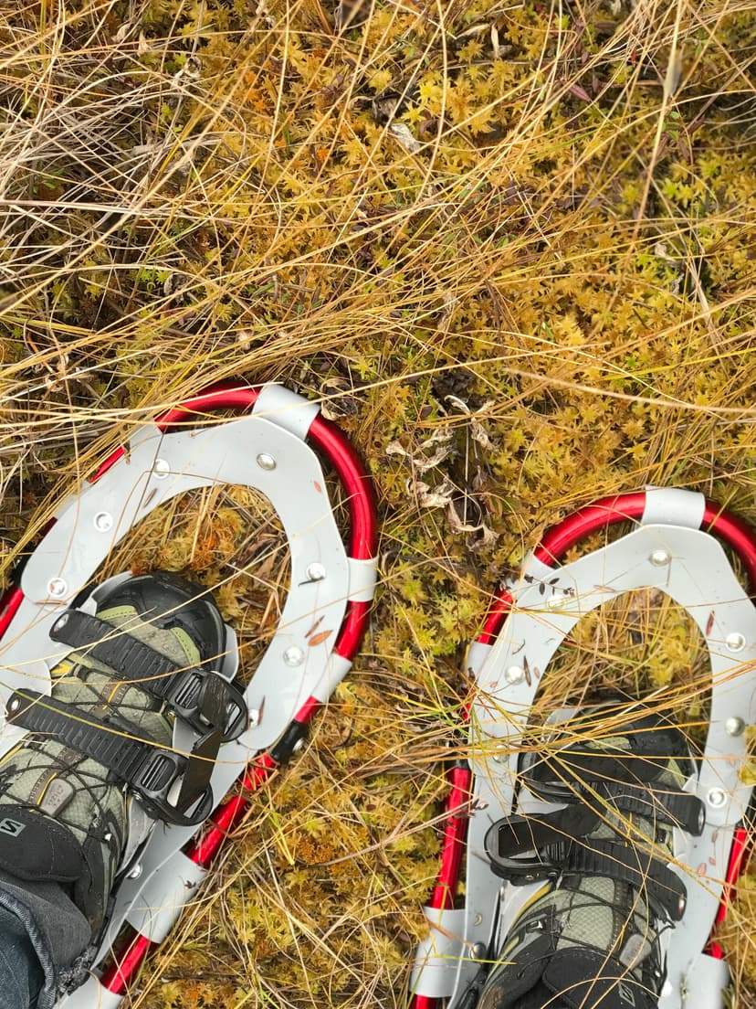 Meenikunno räätsamatk seltskonnale