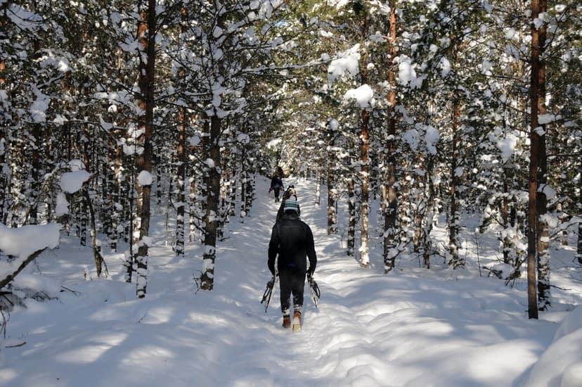 Räätsamatk Järvi-Suursoos kahele