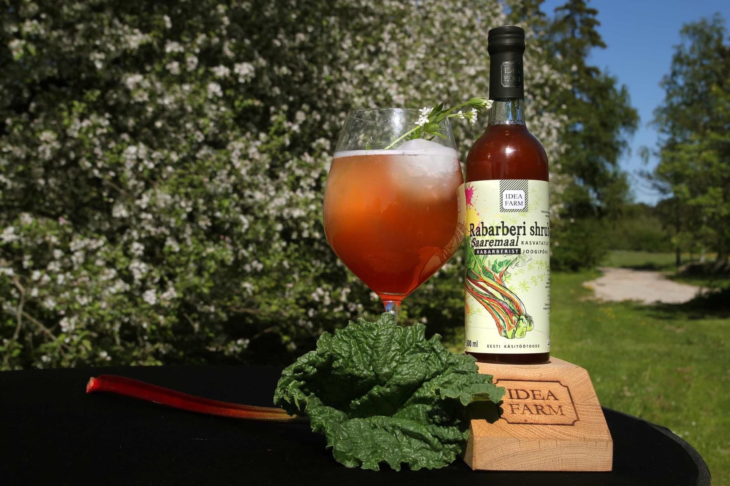 Вкусовые впечатления на первой винодельне на Сааремаа