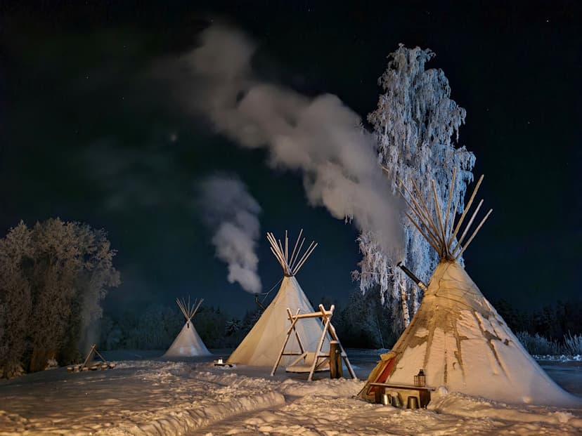Romantiline ööbimine "Metsa puudutus"