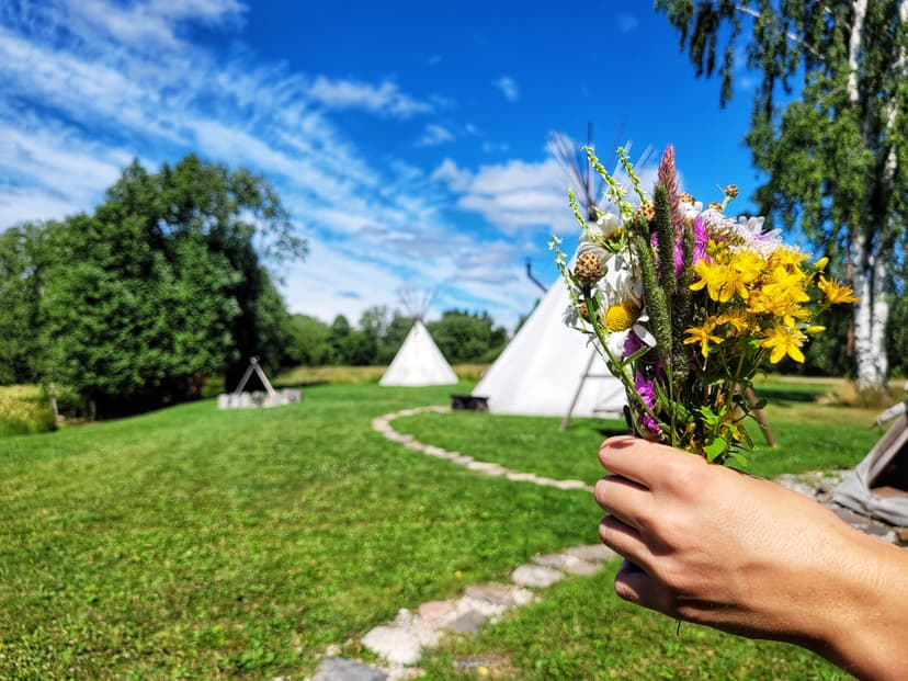 Elamuslik ööbimine "Armunud punanahad"