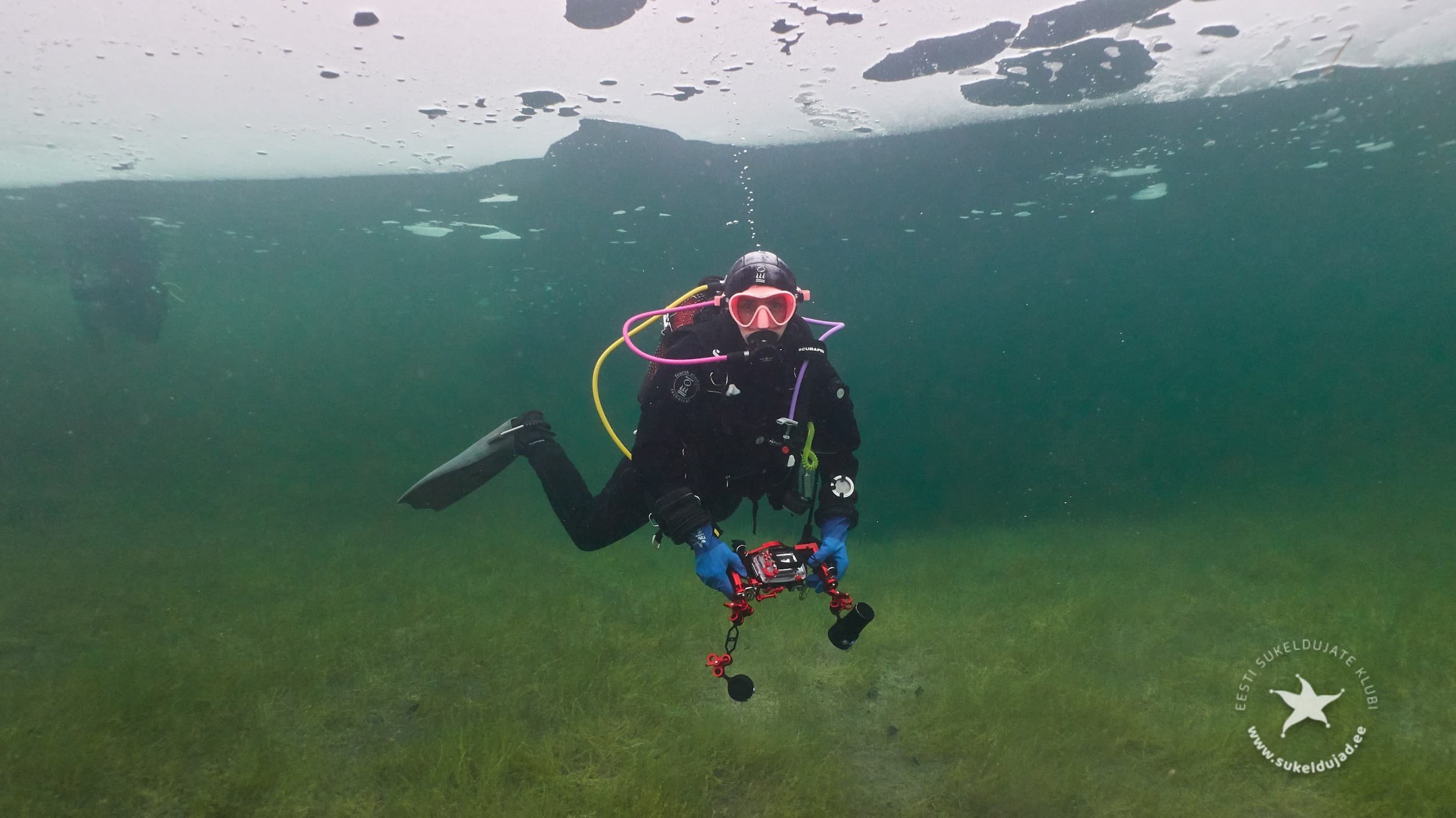 Padi Underwater Photography, или подводная фотография | Kingitus