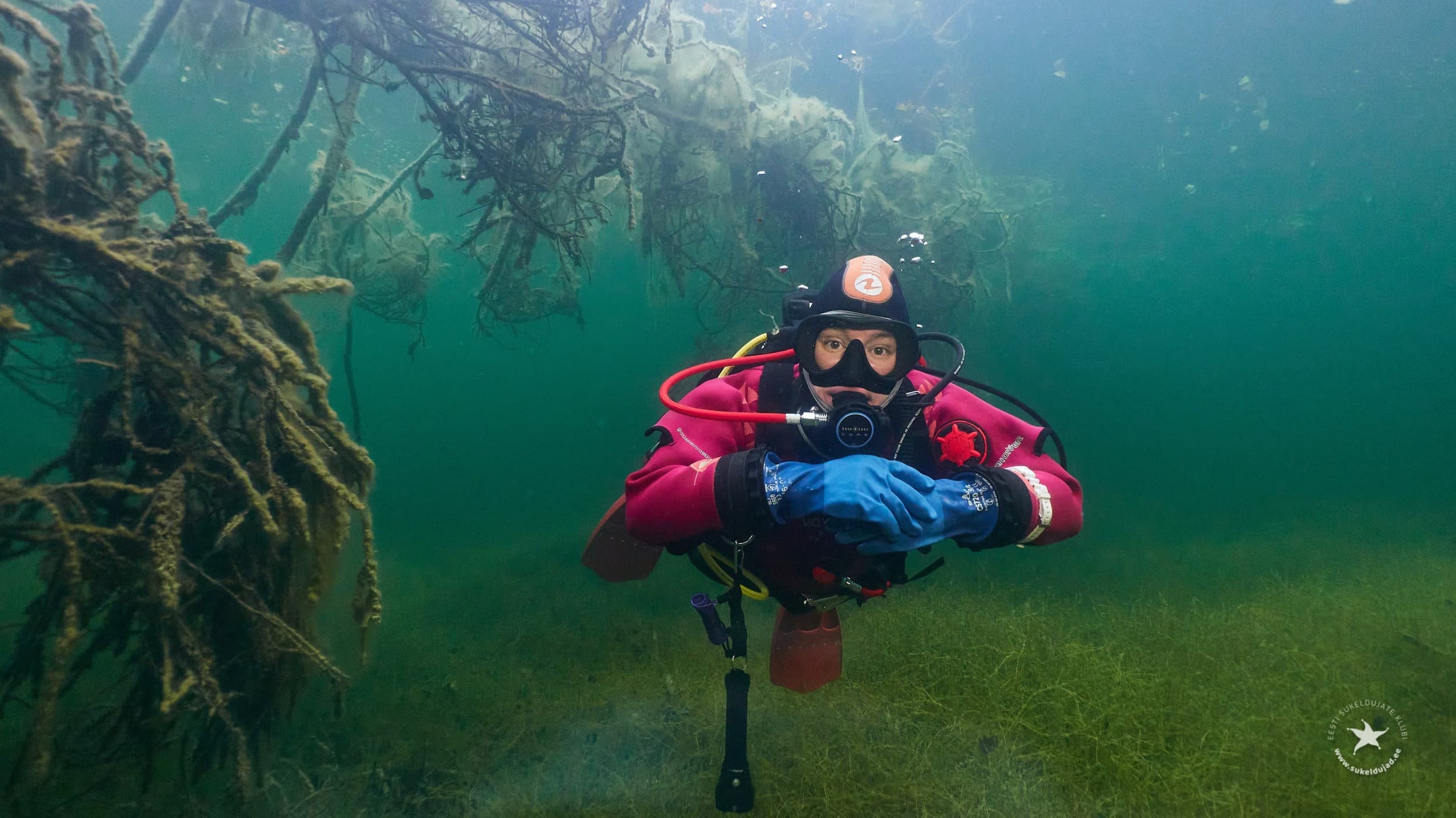 Padi Underwater Photography, или подводная фотография | Kingitus