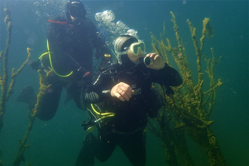 Proovisukeldumine kaldalt