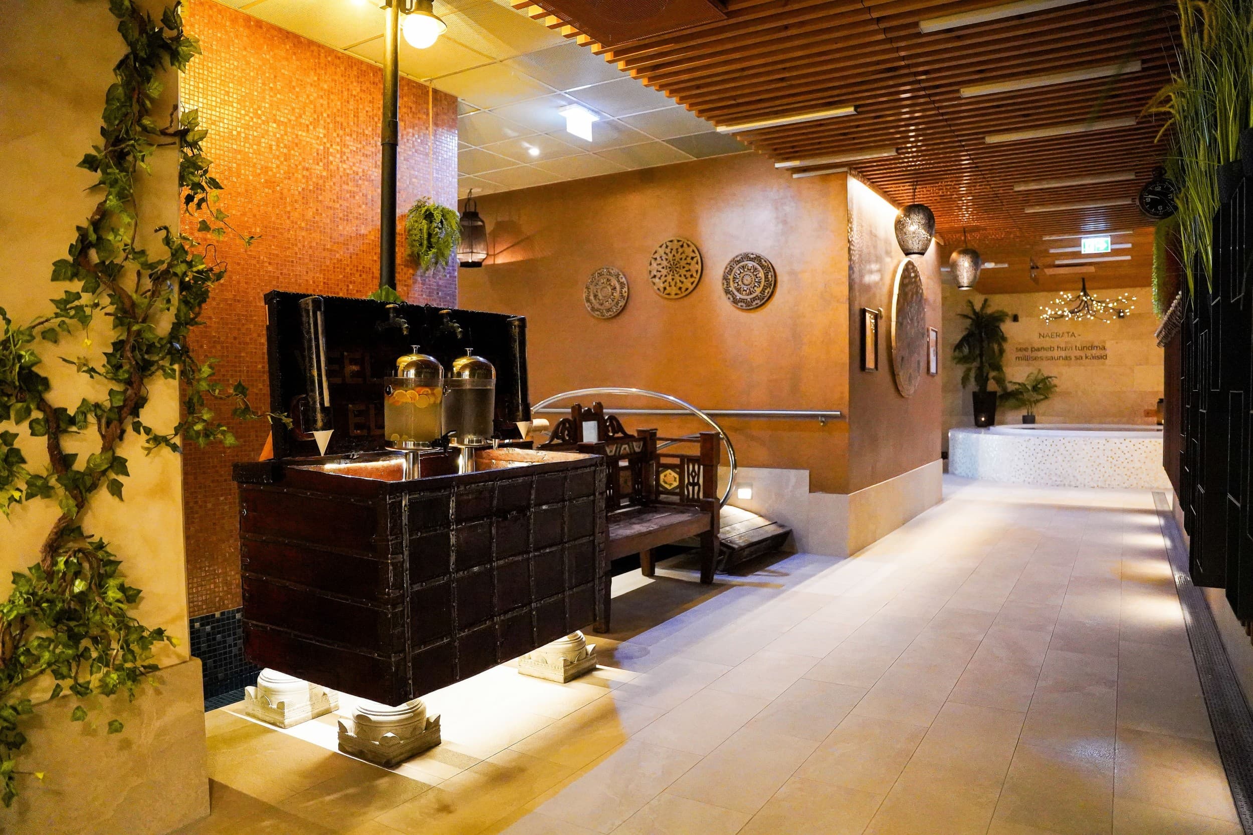 Посещение Elamus Spa в Мустамяэ на одно лицо | Kingitus