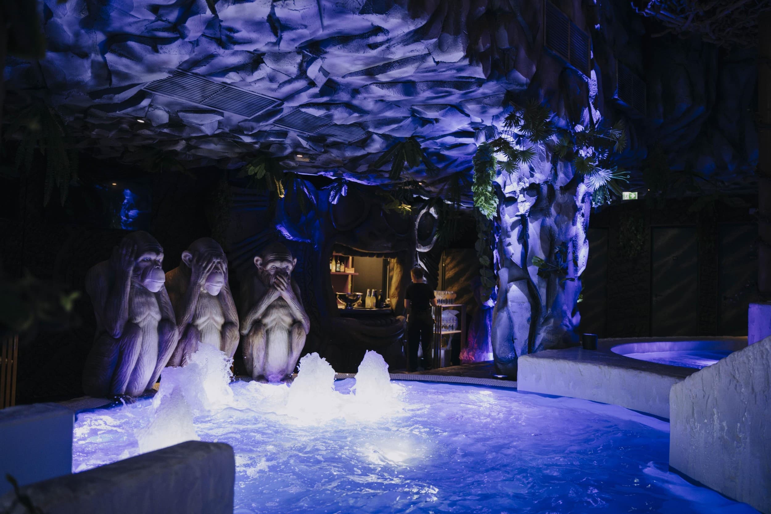 Посещение Elamus Spa в Мустамяэ на одно лицо | Kingitus