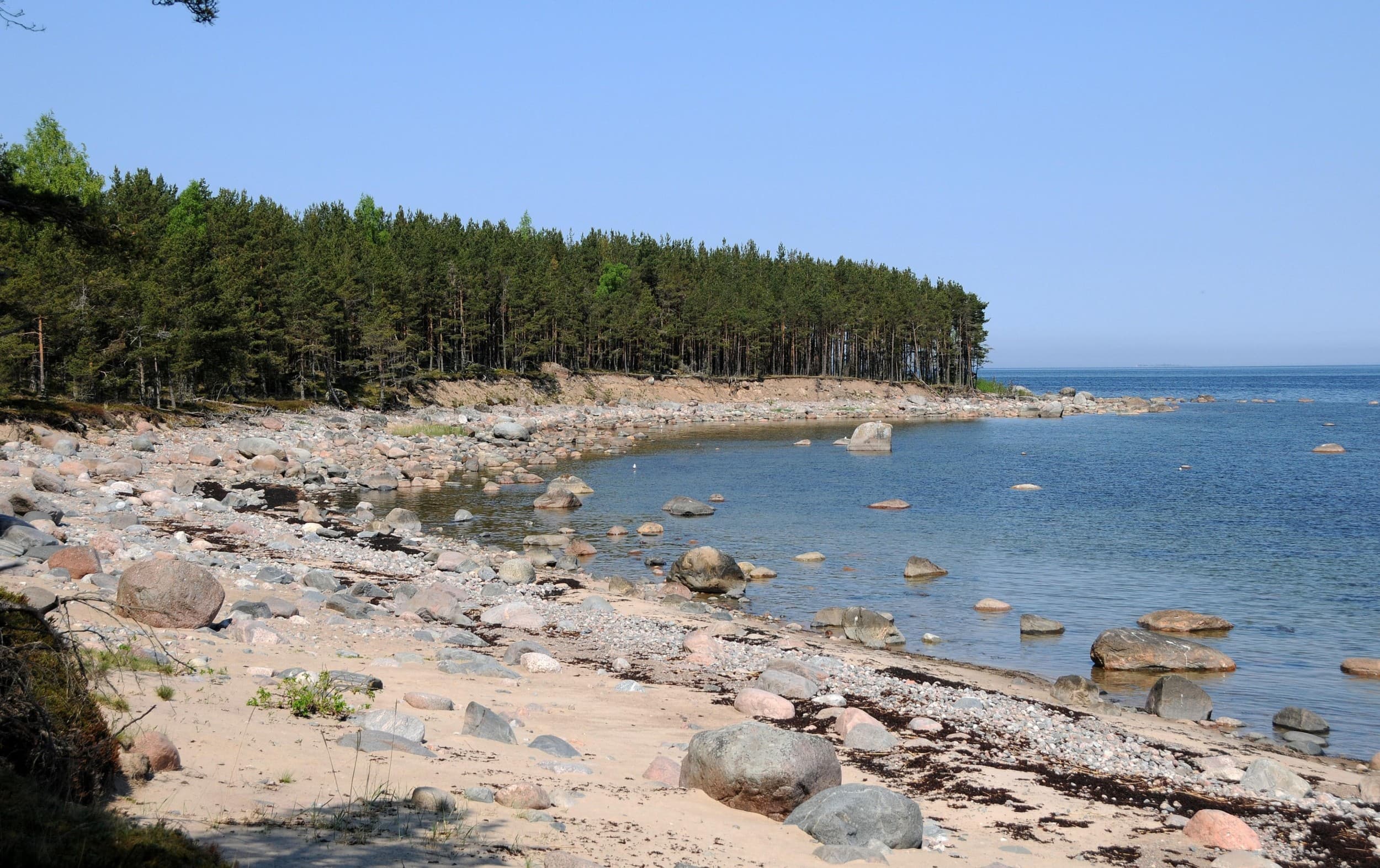 Педассаар – морская прогулка по заливу Колга на небольшой остров и поход по острову. | Kingitus