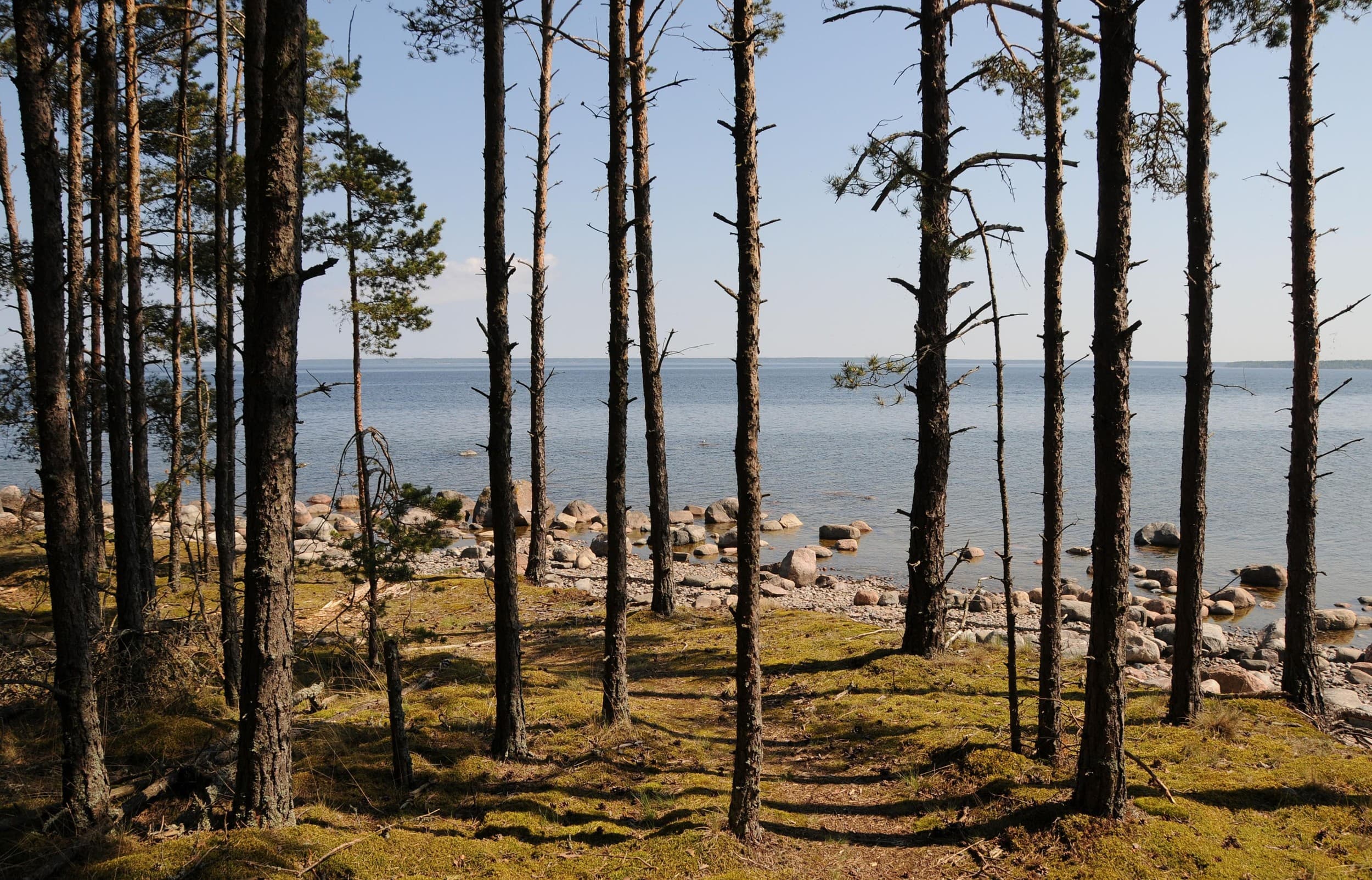 Педассаар – морская прогулка по заливу Колга на небольшой остров и поход по острову. | Kingitus