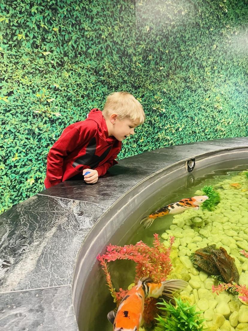 Sünnipäev Park Minigolfis 20 lapsele (R-P)