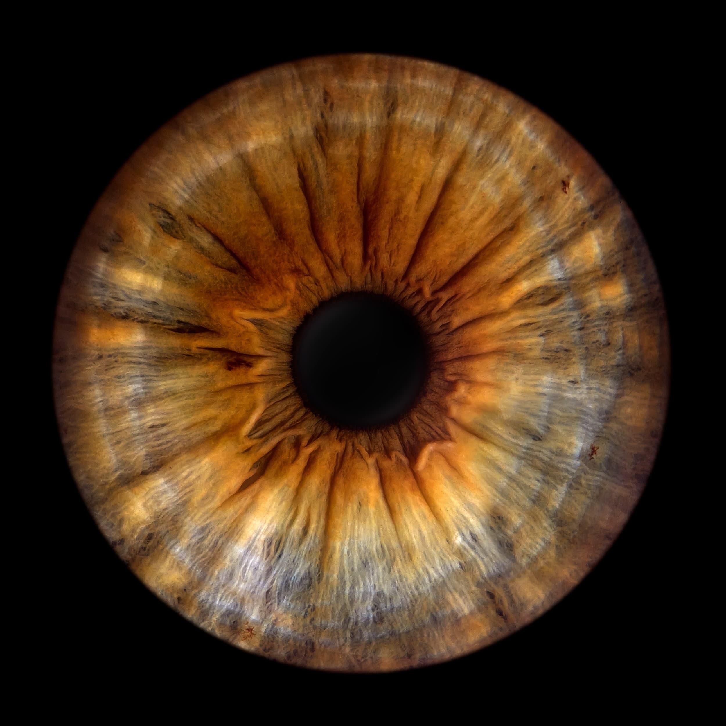 IRISHOT Premium I Fotosessioon