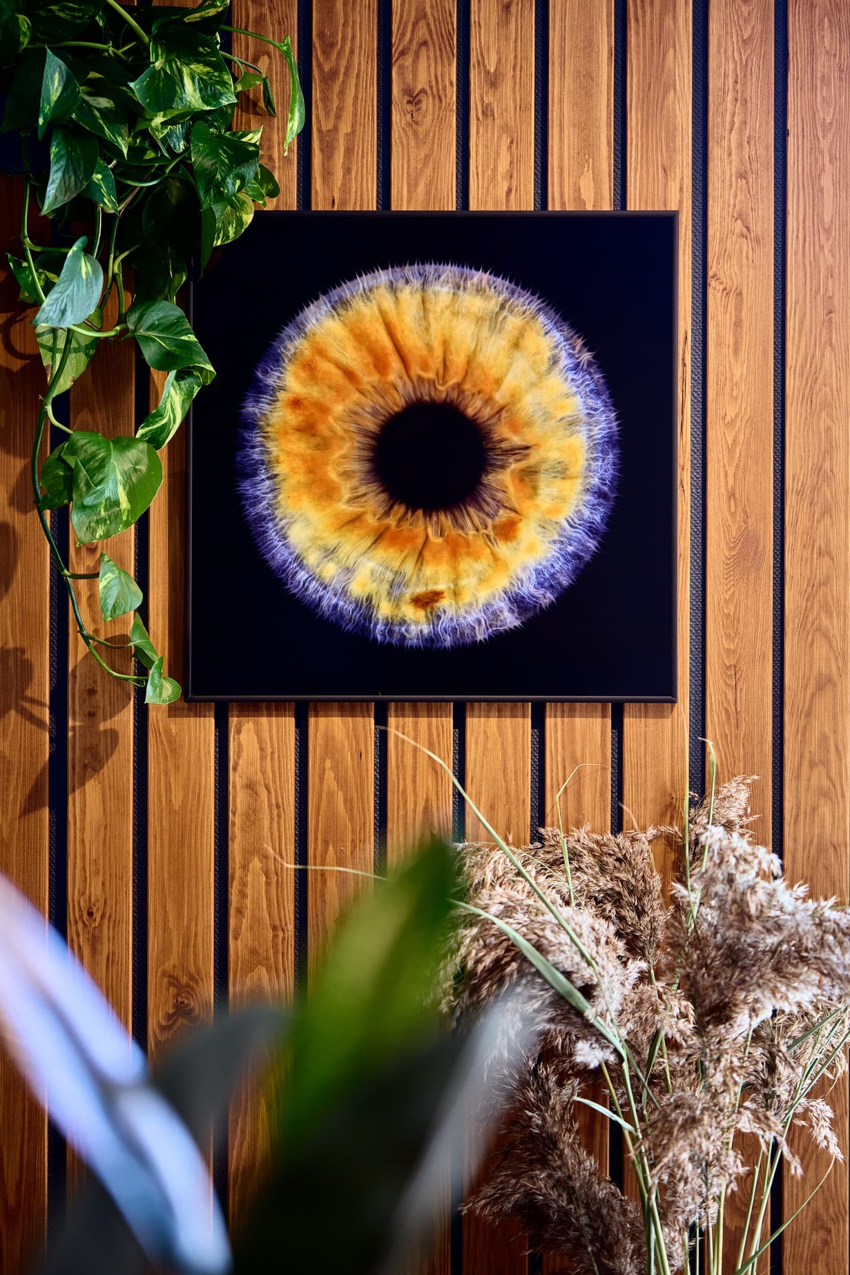 IRISHOT Premium I Fotosessioon koos prindiga | Kingitus