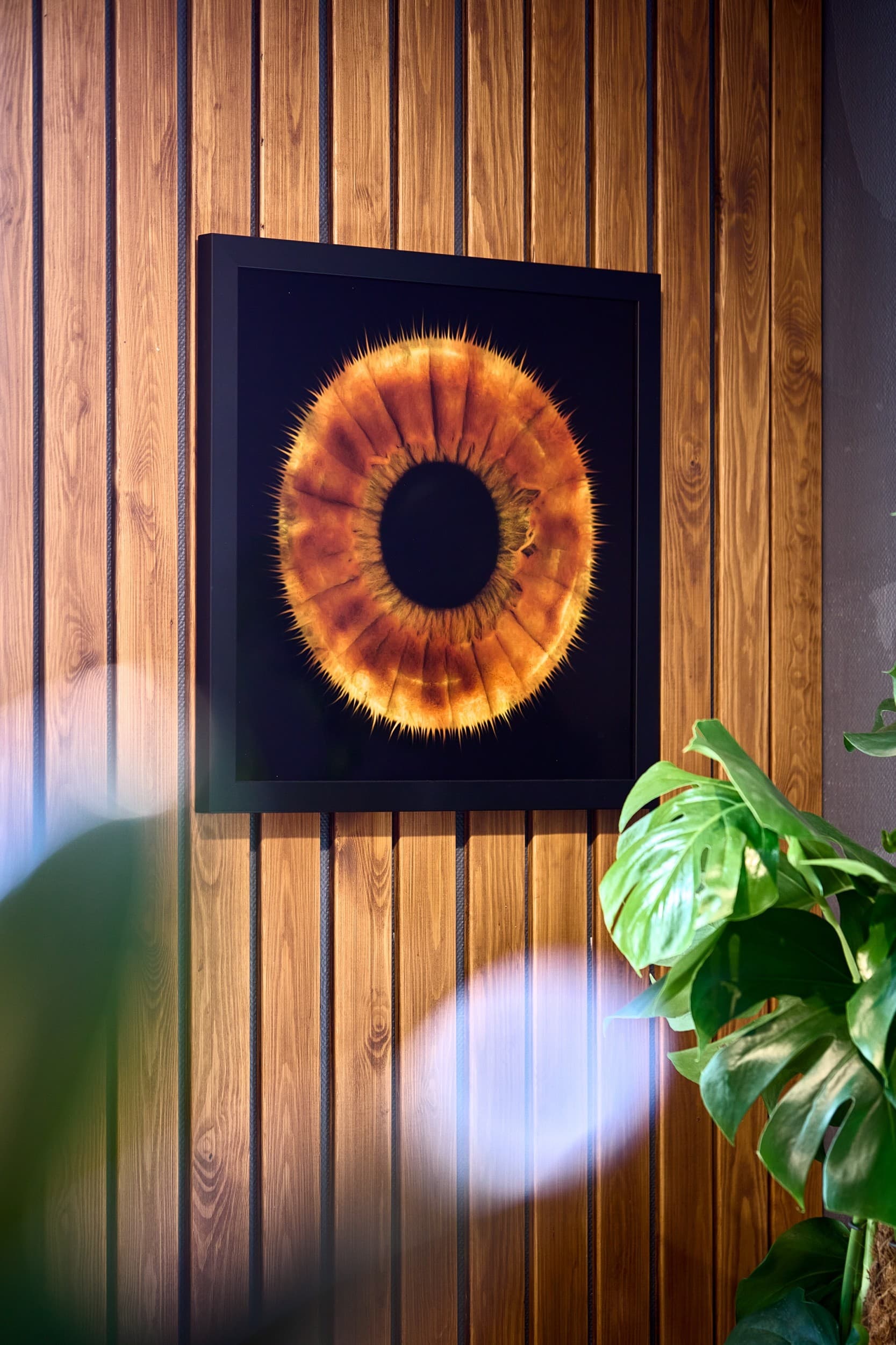 IRISHOT Premium I Fotosessioon koos prindiga | Kingitus