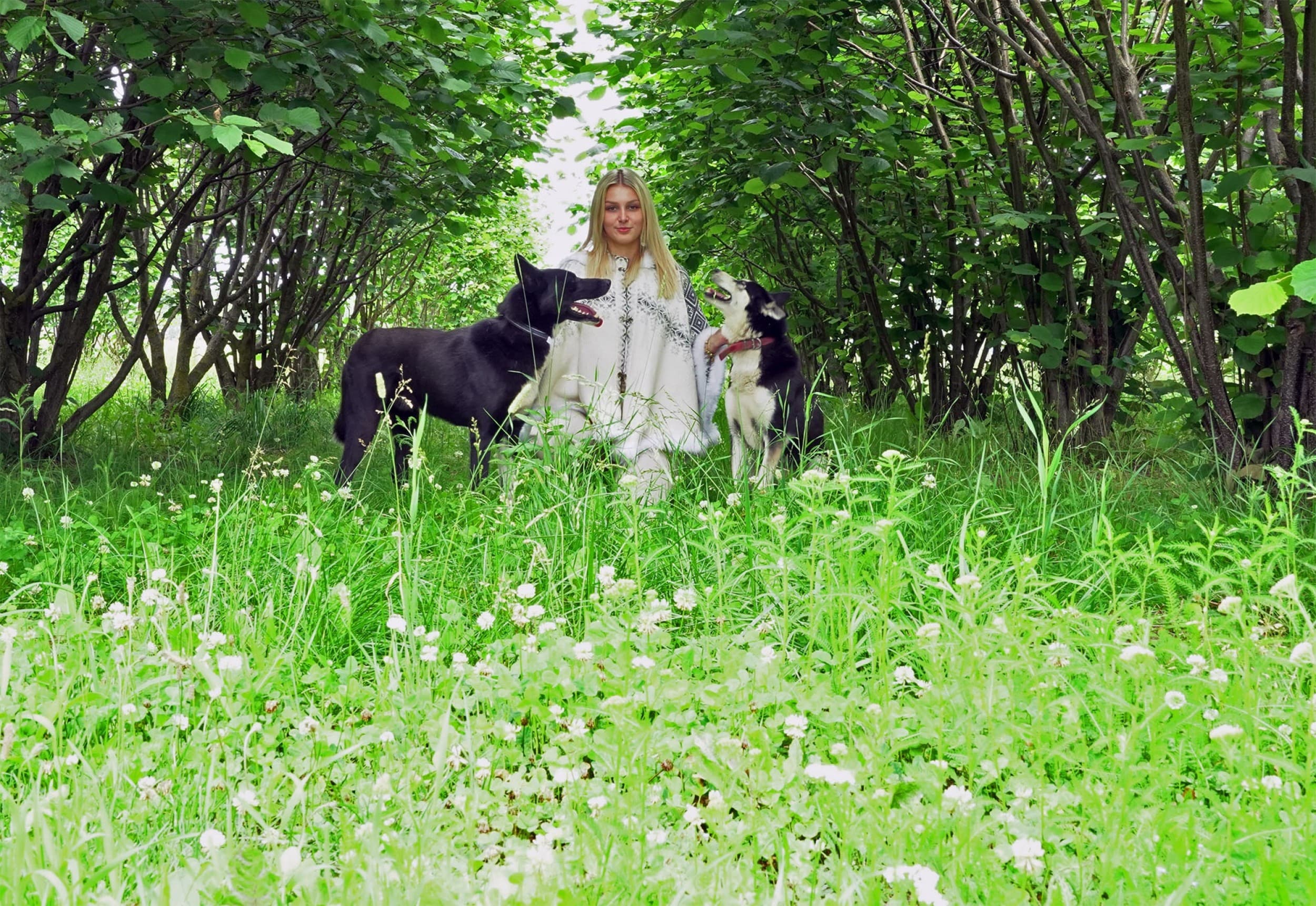 Приключение с хаски в Wiira Talu для семьи