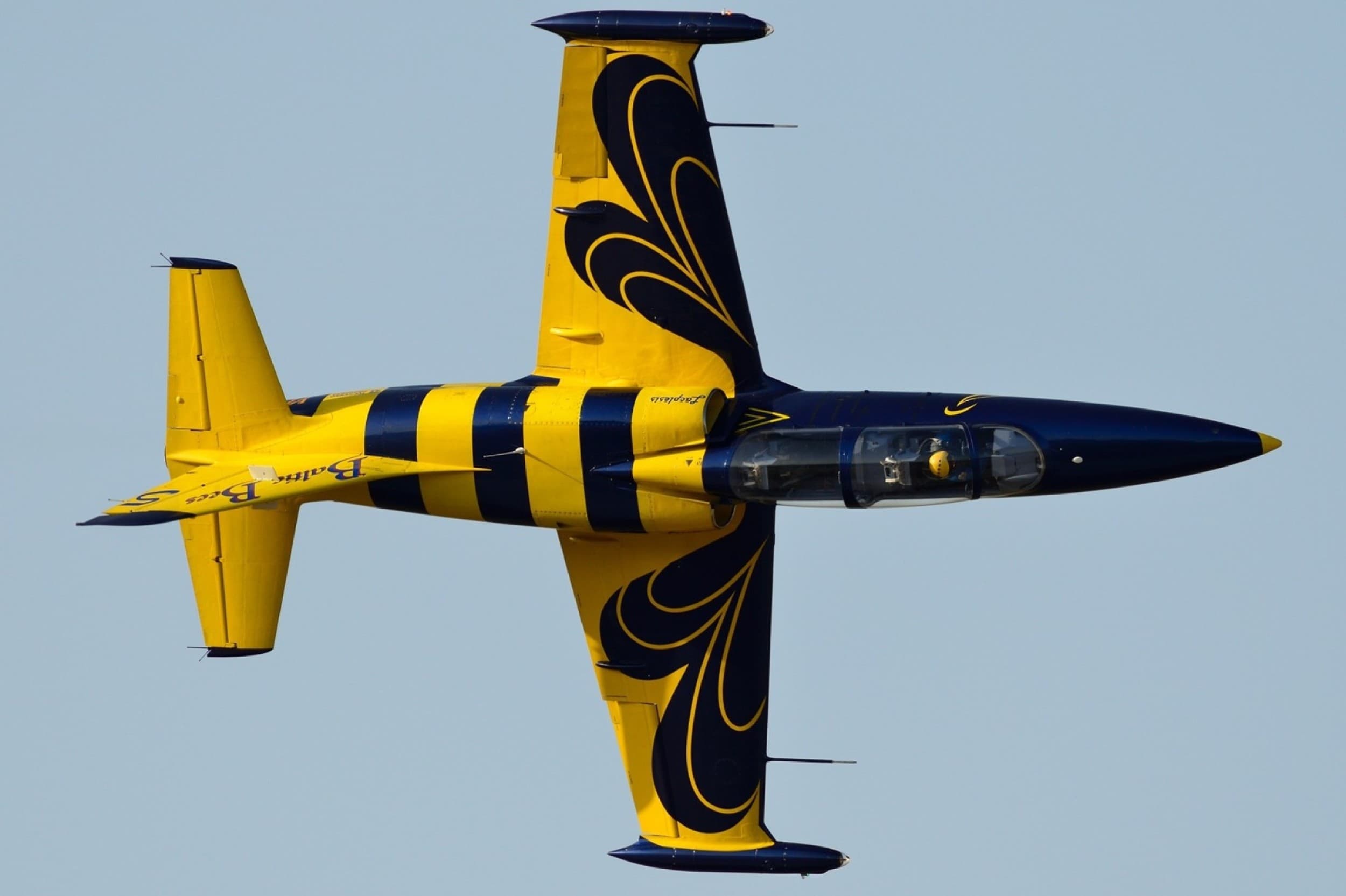 Полет на реактивном учебном самолете L-39 (30 минут)