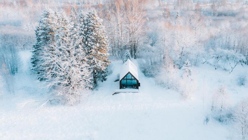 Privaatne looduspuhkus saunaga metsamajas (P-N)