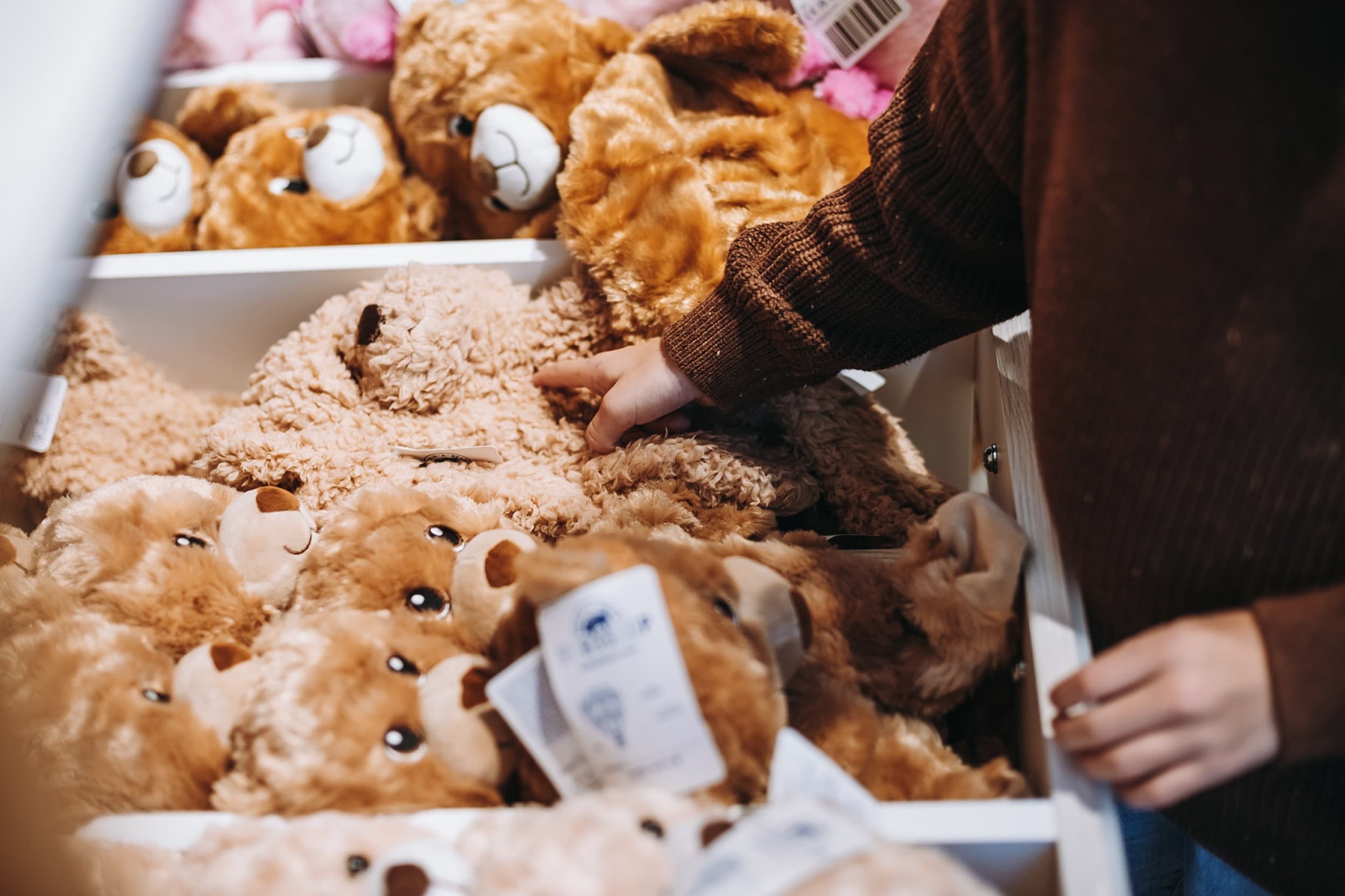 Пакет впечатлений Build-A-Bear Workshop «Создай уникального мягкого друга!» | Kingitus
