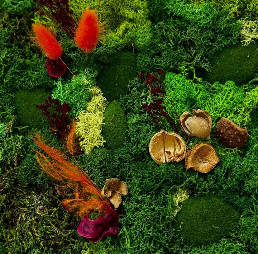 Samblapildi valmistamise töötuba kahele