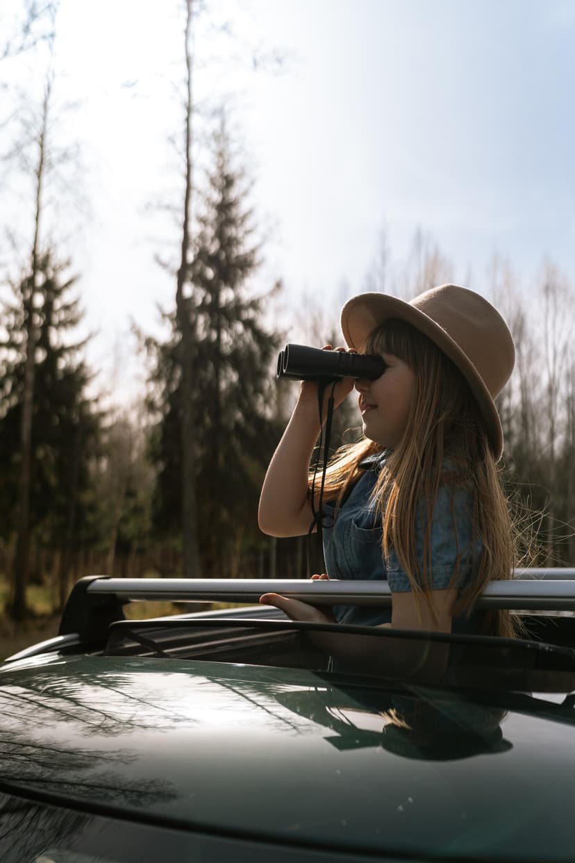 Oma autoga ulukisafari Toosikannu Looduspargis