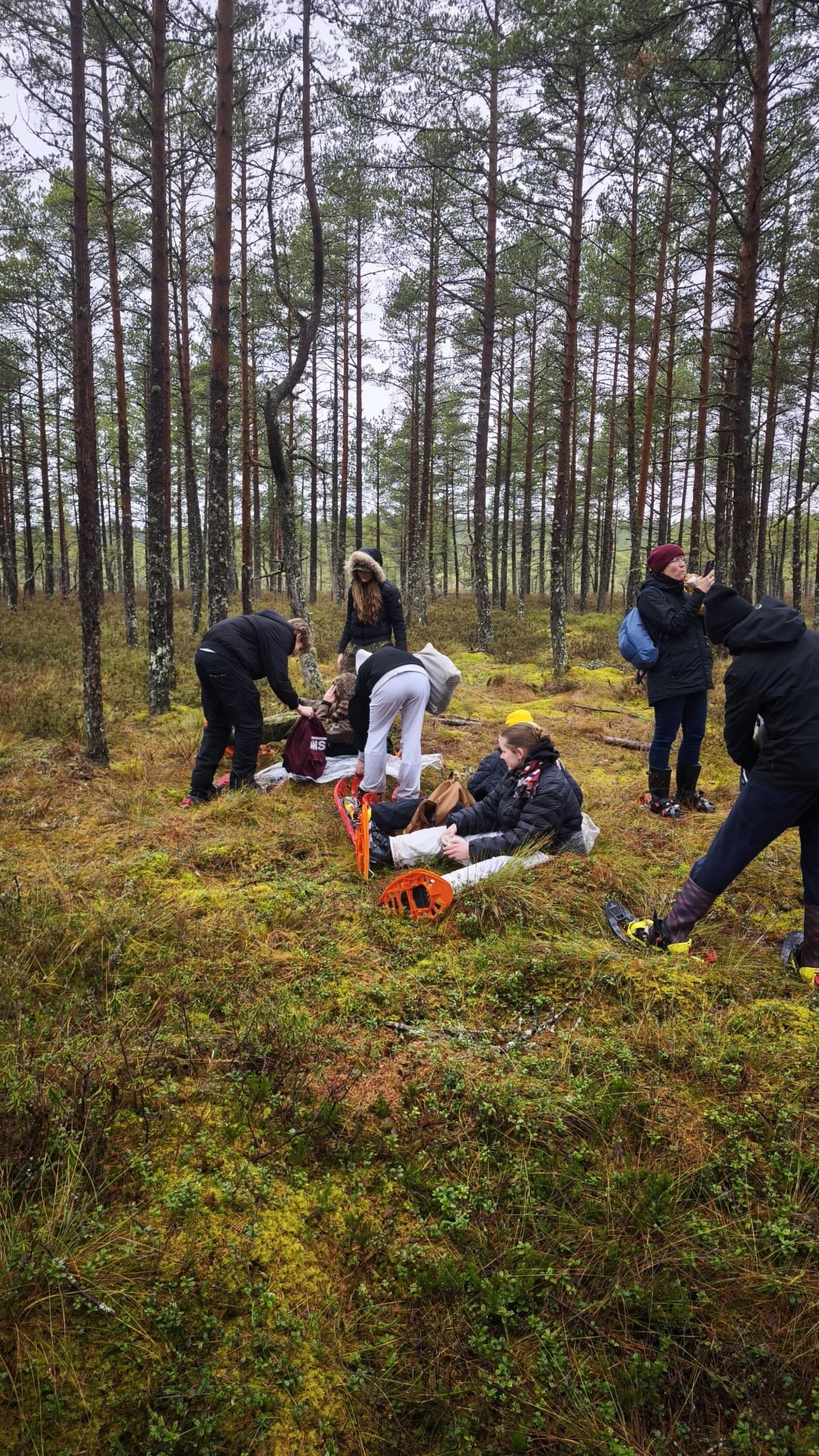 Viru raba elamusmatk räätsadel ning loodusgiidiga kahele