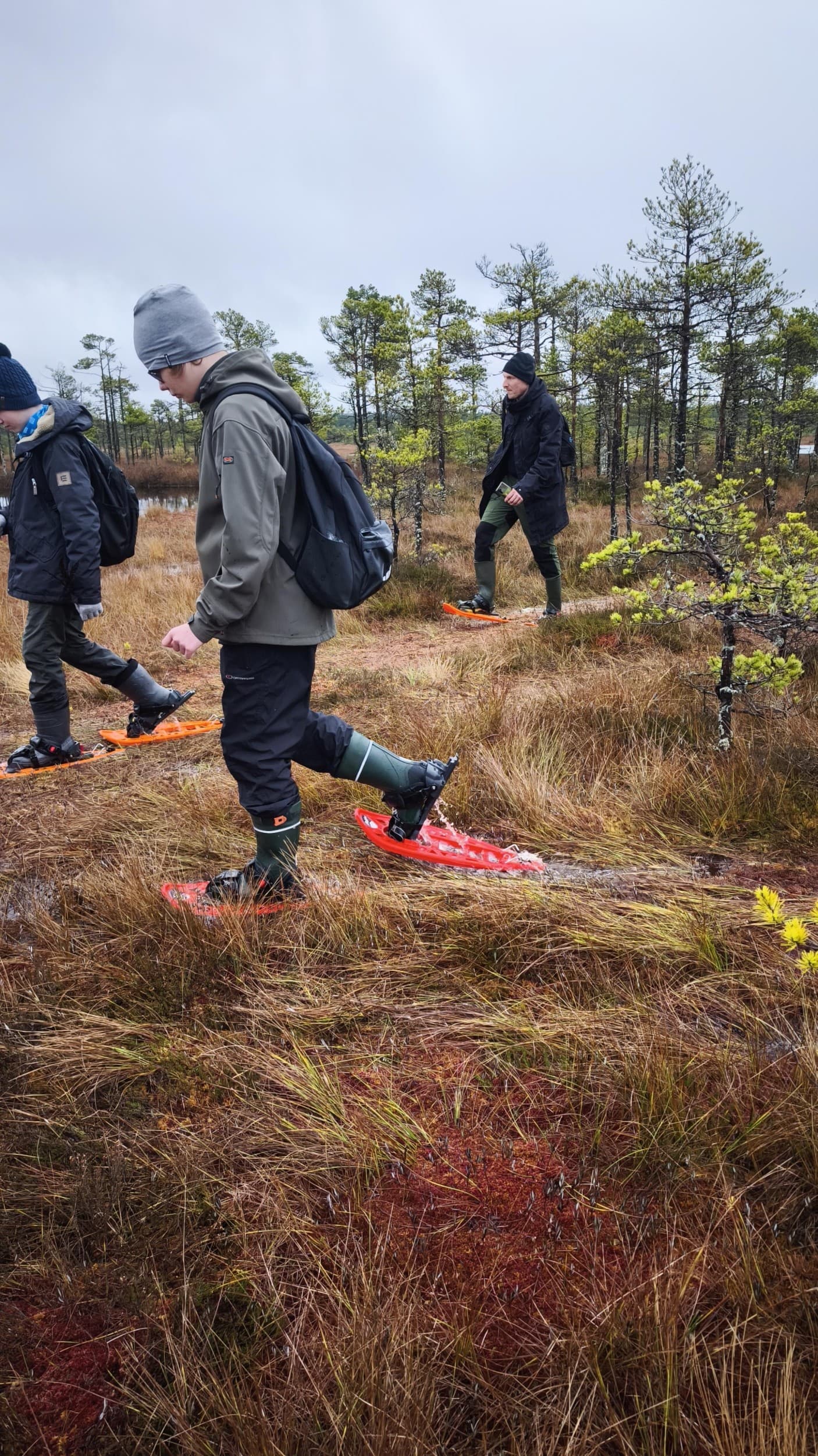 Viru raba elamusmatk räätsadel ning loodusgiidiga kahele