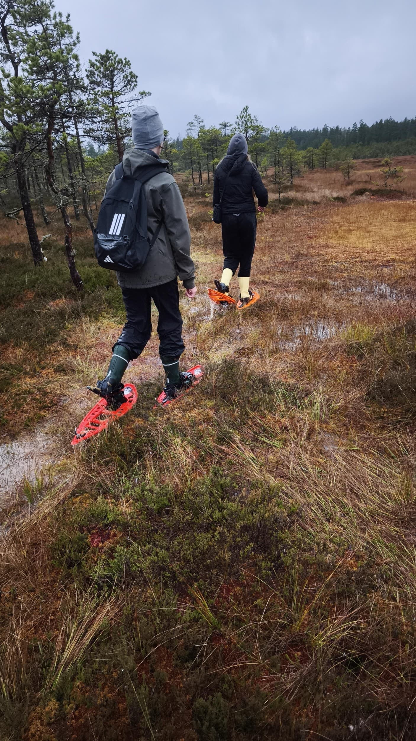 Viru raba elamusmatk räätsadel ning loodusgiidiga kahele