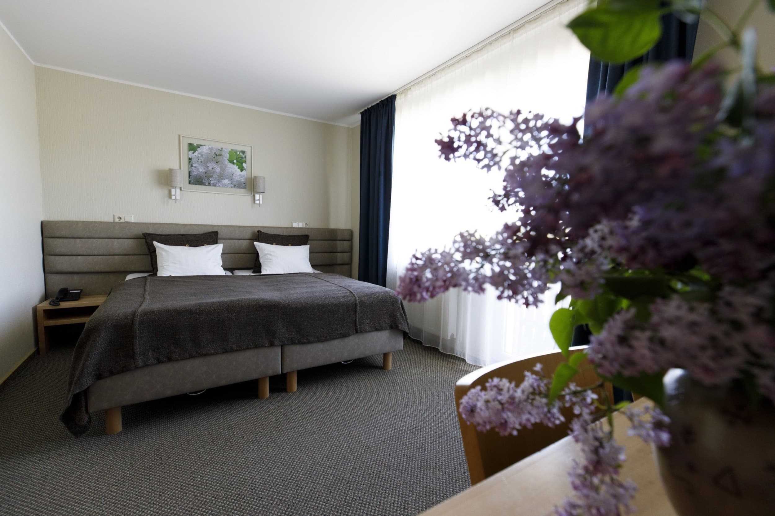 SPA-отдых с ужином для двоих — SPA Hotel Ezeri