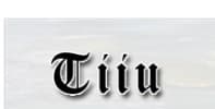 Tiiu Piibur