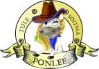 Ponisõit