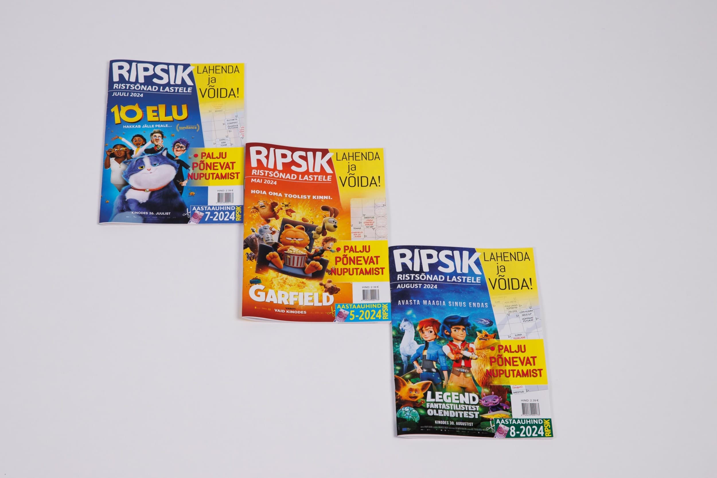 Подписка на RIPSIK (12 мес.) | Kingitus