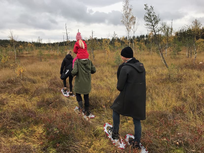 Selli-Sillaotsa räätsamatk seltskonnale