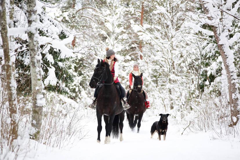 Kahetunnine ratsamatk koos algõppega kahele
