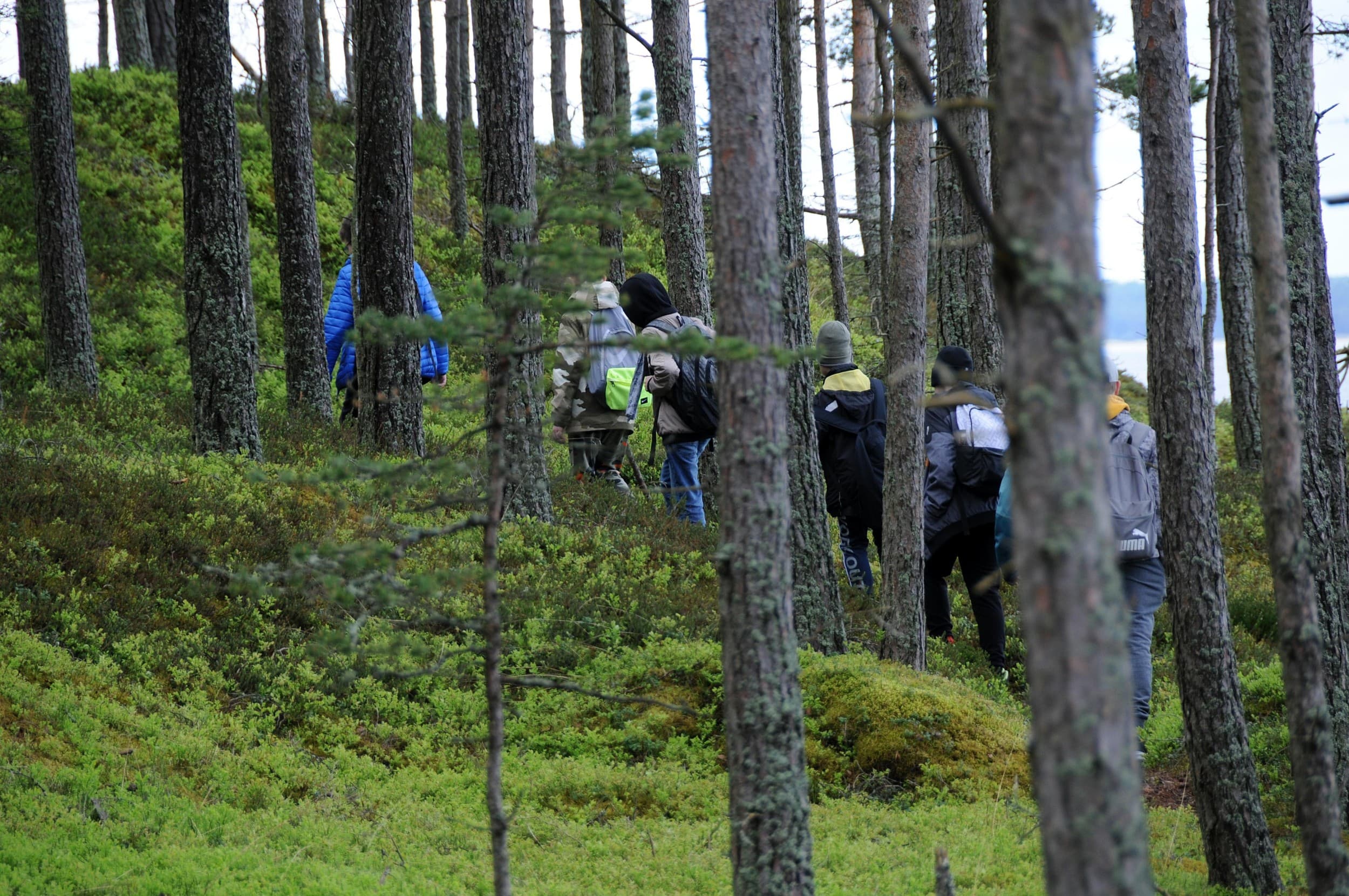 Педассаар – морская прогулка по заливу Колга на небольшой остров и поход по острову. | Kingitus