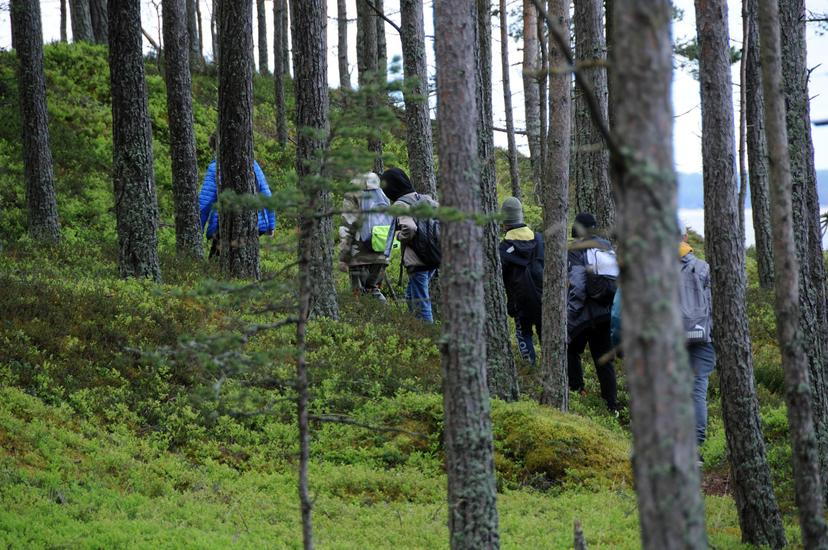 Pedassaar – merereis Kolga lahe väikesaarele ja matk saarel