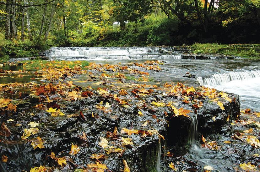 Loodusreis "Lahemaa joad ja joastikud" neljale